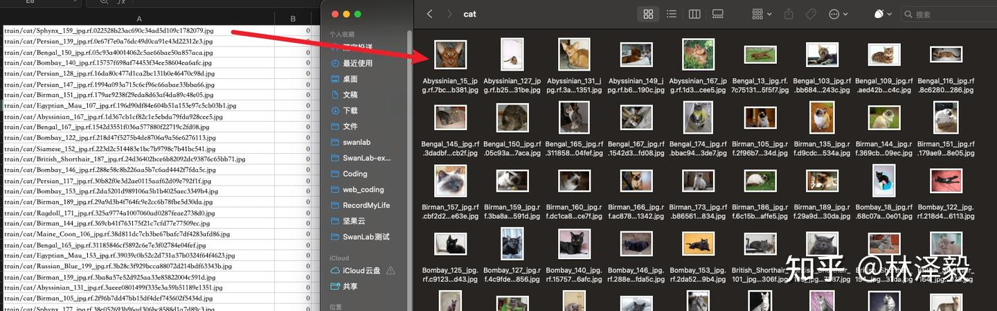 左图作为train.csv，右图为train文件夹中的cat文件夹中的图像