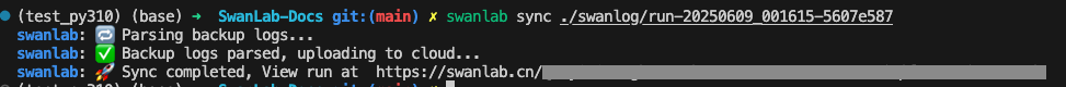 swanlab sync